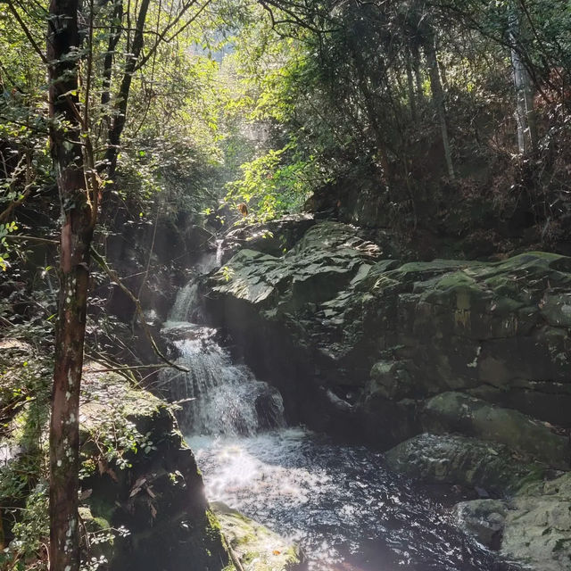 親川滝 - 鬱鬱蔥蔥
