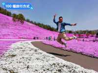 日本北海道-宛如粉紅色地毯的芝櫻花海：東藻琴 芝櫻公園
