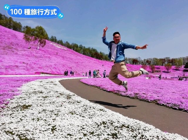 日本北海道-宛如粉紅色地毯的芝櫻花海：東藻琴 芝櫻公園