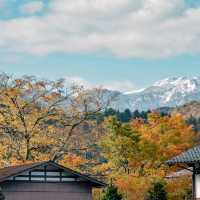 จัดจ้านที่หมู่บ้านชิราคาวาโกะ Shirakawago