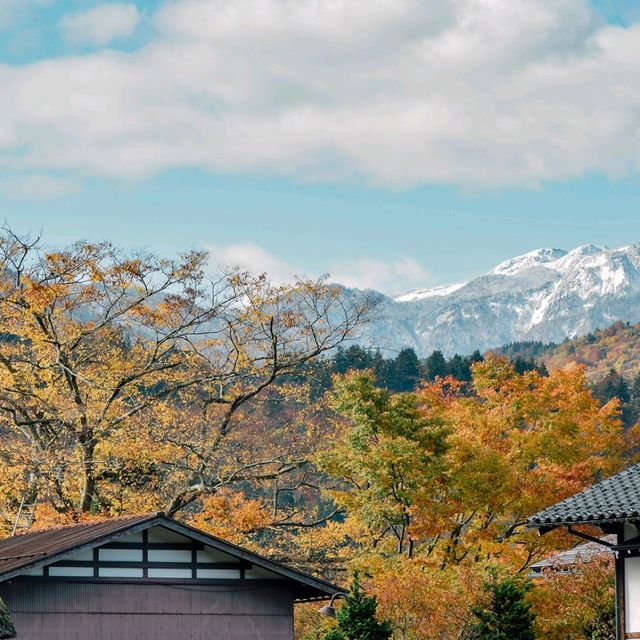 จัดจ้านที่หมู่บ้านชิราคาวาโกะ Shirakawago