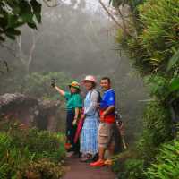 เดินป่าหน้าฝน ลานหินปุ่ม - ผาชูธง ภูหินร่องกล้า