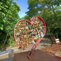 ป่าในเมือง ณ เขากระโดง บุรีรัมย์