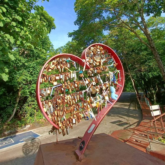 ป่าในเมือง ณ เขากระโดง บุรีรัมย์