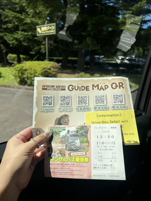 近距離餵動物嘅難忘體驗 