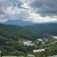 *Attraction:** Crazy House (Hằng Nga Guesthouse)  **Title:** *Exploring Da Lat’s Surreal Wonderland: