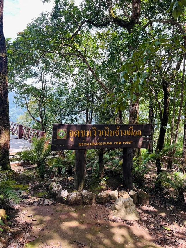 วันเดย์ อิน กาญจนบุรี 🍃 บ้านอีต่อง อ.ทองผาภูมิ