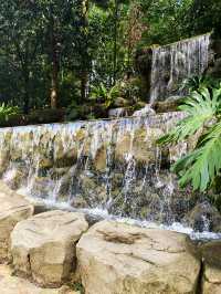 Enjoy the hot weather in the KL garden 🏡🏡