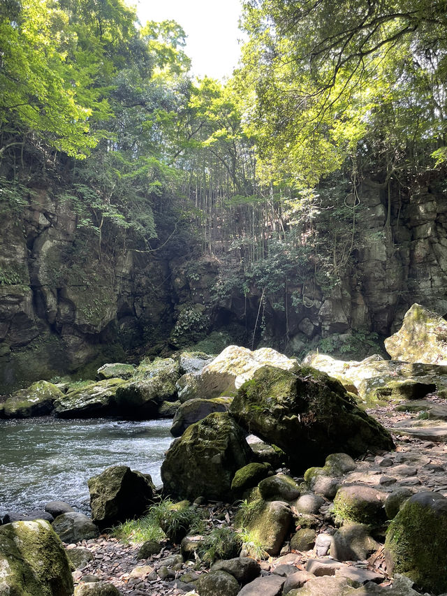 暑い日に行きたい！マイナスイオンを感じられるスポット