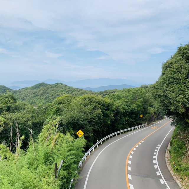 四国遍路　屋島寺