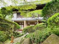 竹寺　鎌倉報国寺