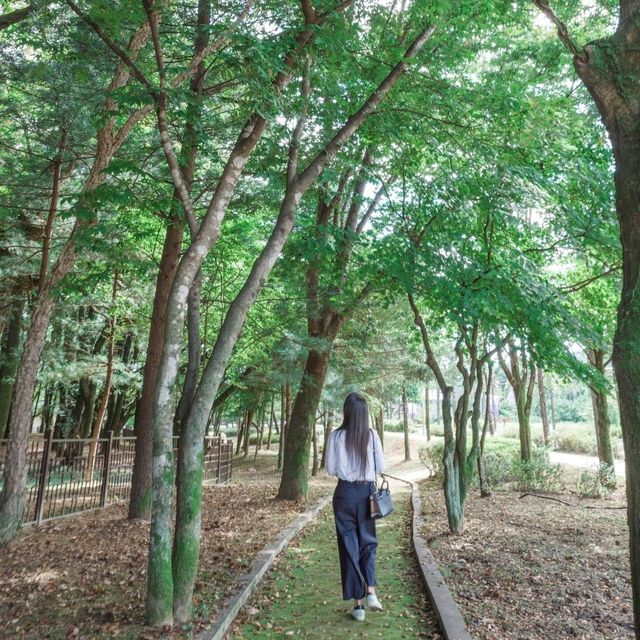 고즈넉한 산책을 할수 있는