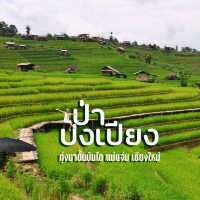 นาขั้นบันได บ้านป่างเปียง เชียงใหม่