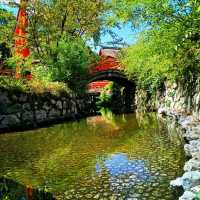 【京都】京都旅 必ず訪れたい京都屈指のパワースポット下鴨神社