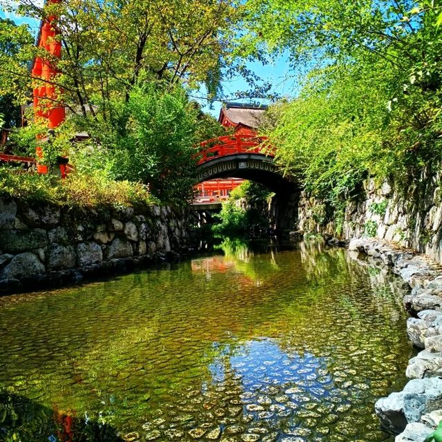 【京都】京都旅 必ず訪れたい京都屈指のパワースポット下鴨神社