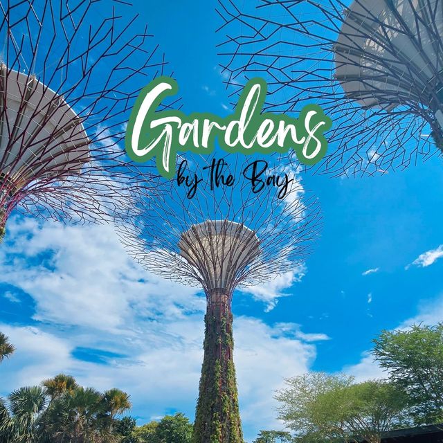 Gardens by the Bay 
