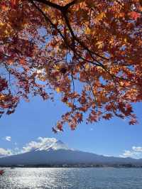 【山梨】富士山のほとりで秋満喫🍂