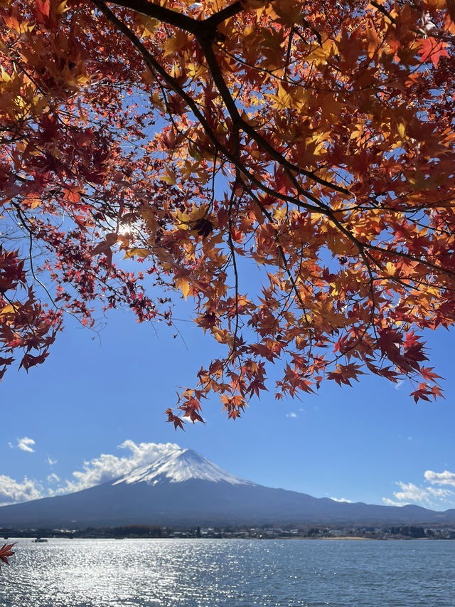 【山梨】富士山のほとりで秋満喫🍂