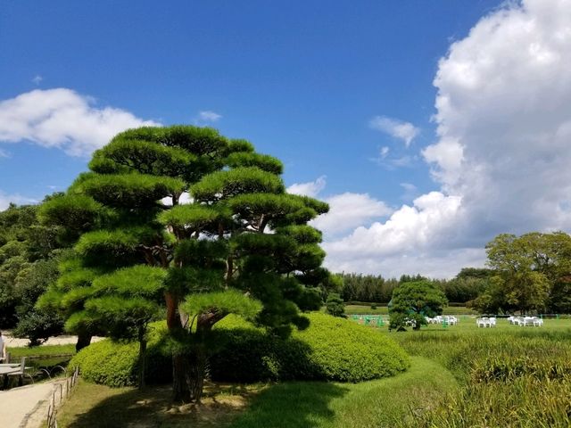 【岡山】世界一怖いスカイサイクルがある岡山の不思議な遊園地