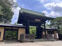 豪德寺(招福貓)一遊