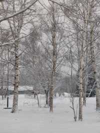 The Most Memorable Place in Hokkaido