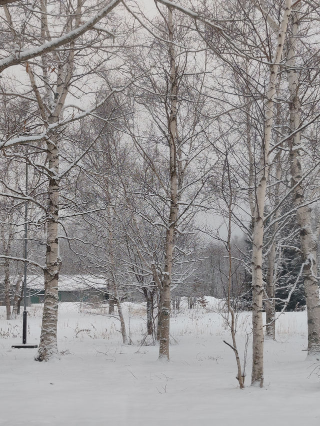 The Most Memorable Place in Hokkaido
