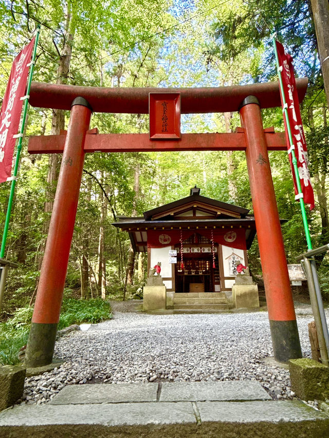 【埼玉県】失せ物が戻るご利益ある神社
