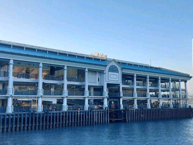 💫🌐香港歷史⛴️渡海小輪•舊式輪船新式碼頭