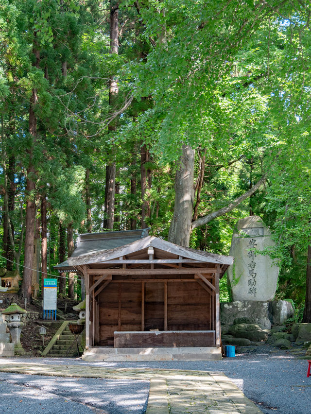 【山形】3つ見つけると願いが叶う！？縁結びの社でうさぎを探せ🐇🤍 