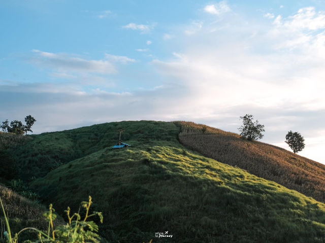 Unseen เมืองแพร่  ถนนลอยฟ้าหลังวัดพระธาตุปูแจ🌳