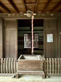 【東京都】大きな狛犬が珍しい神社