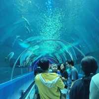 สถาบันวิทยาศาสตร์ทางทะเล มหาวิทยาลัยบูรพา