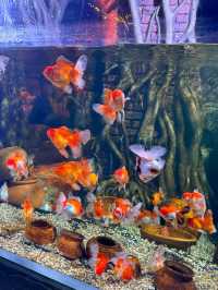 เที่ยว SEA LIFE Bangkok กัน!!
