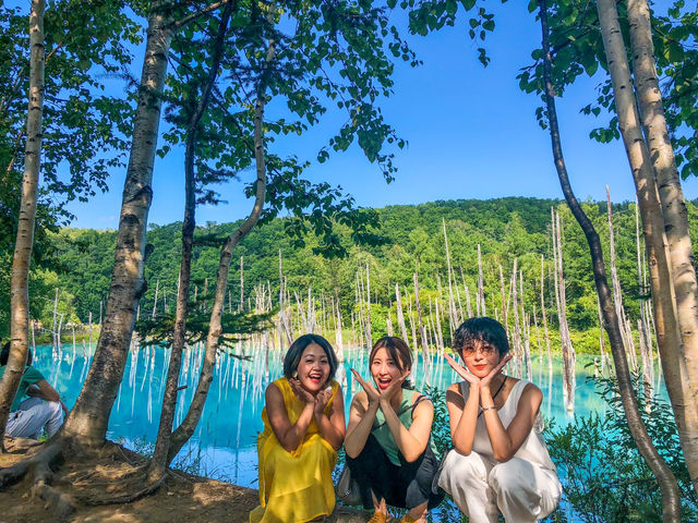 【北海道】神秘的なミルキーブルーの絶景✨白金青い池