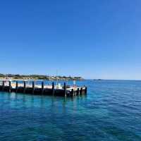 Island Escape: A Day Trip to Rottnest IslandDiscover the Beauty of Rottnest Island