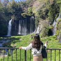 น้ำตกชิราอิโตะ (Shiraito Falls)