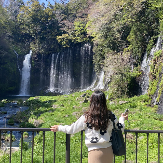 น้ำตกชิราอิโตะ (Shiraito Falls)