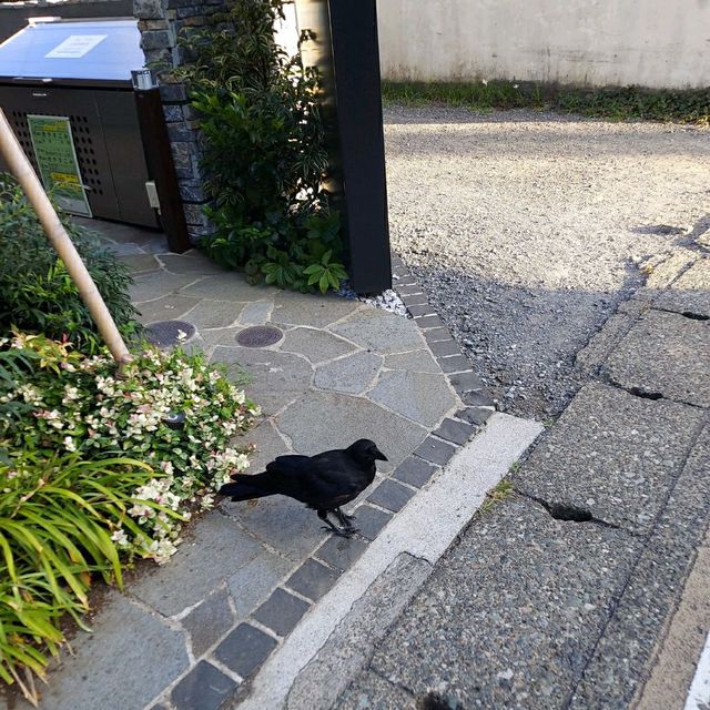 鎌倉日帰り旅