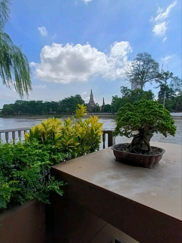 ศยามะ |พระนครศรีอยุธยา