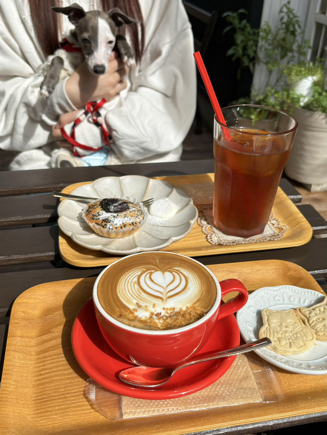 【福岡カフェ】犬を連れての旅行にもオススメ！