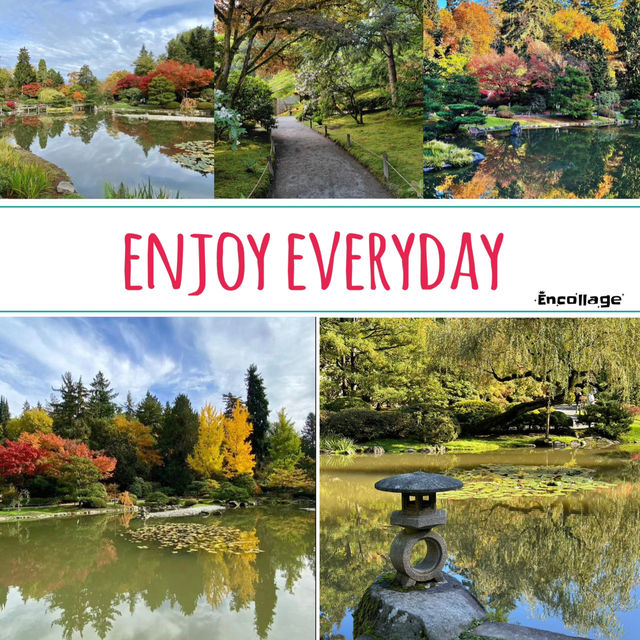 🌴大濠公園日本庭園⛳️如詩如畫🍁🌿