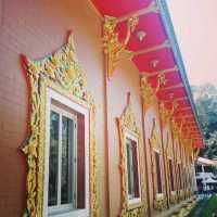 เที่ยวอุโมงค์ป่าไผ่ วัดจุฬาภรณ์วนาราม