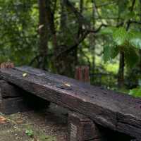  ดอยขุนตาล นั่งรถไฟไปผจญภัย 