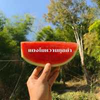 15ข้อควรรู้ก่อนมาภูกระดึง