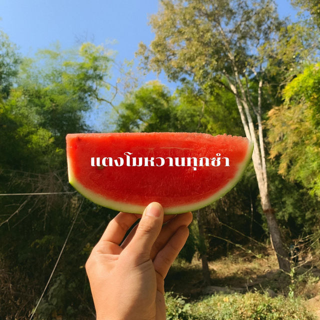 15ข้อควรรู้ก่อนมาภูกระดึง