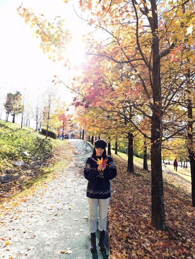알록달록 단풍이 예쁜 거창 도시숲공원🍁