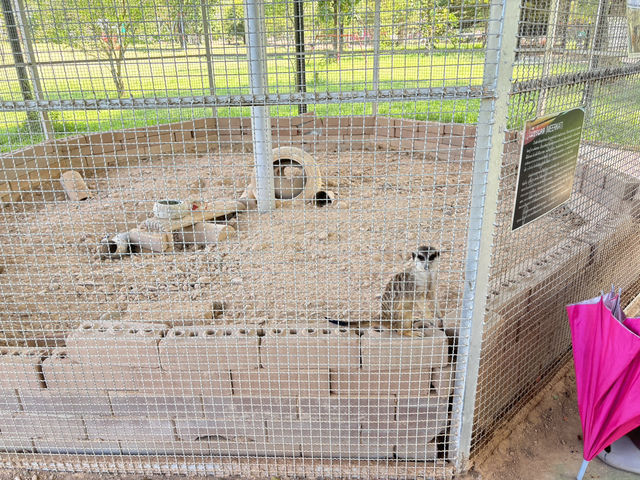 Viva Farm 🐑🐓สวนสัตว์แห่งแรกและแห่งเดียวของจันทบุ