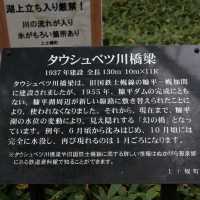 タウシュベツ川橋梁です！！