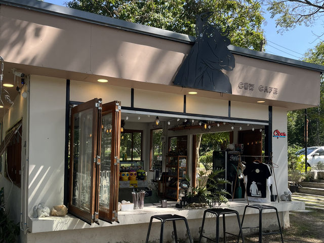 Cow Cafe by Horizon Farm 🐮🌳☕️