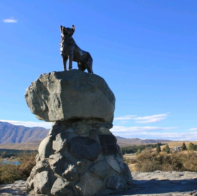 Lake Tekapo New Zealand